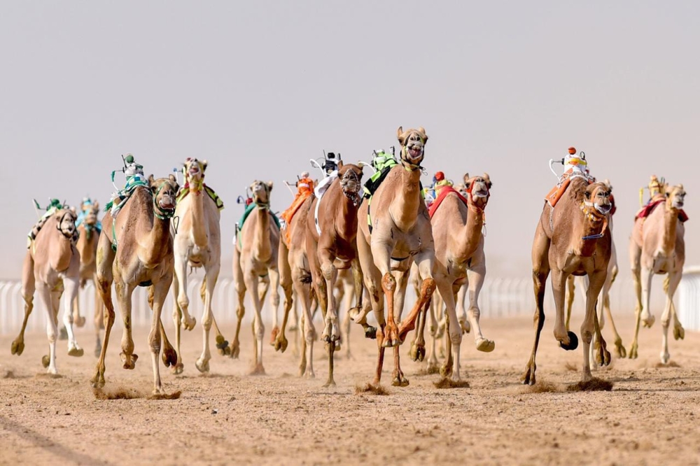 من سباقات الفترة الأولى 