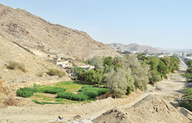 من محببات الوطن وادي مر الظهران الجموم فاطمة المدينة