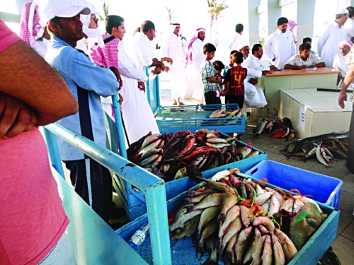 بدأ تشغيل سوق ثول للأسماك بأحدث مرافق المدينة